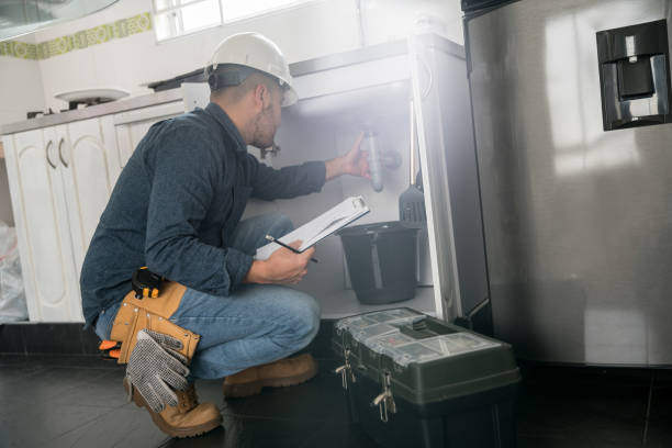 Best Water Heater Repair  in Nashotah, WI