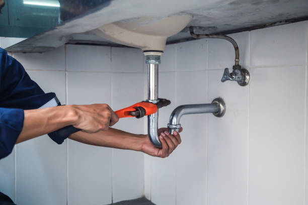 Best Clogged Drain Plumber  in Nashotah, WI